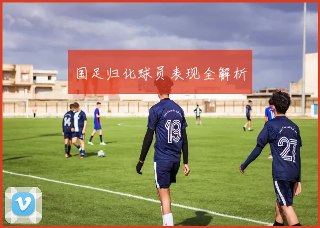 国足归化球员表现全解析