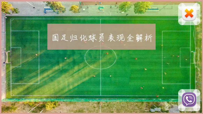 国足归化球员表现全解析